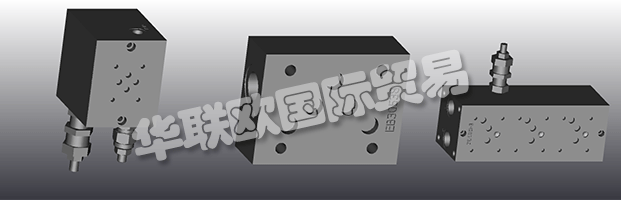 EUROFLUID Hydraulic是一家大型公司，專門生產(chǎn)液壓設(shè)備的歧管。