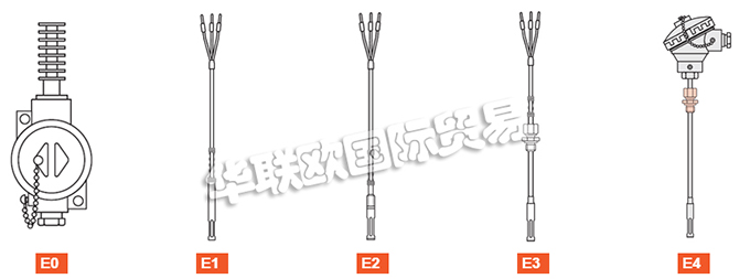 ELSI探頭、ELSI溫度計、熱電阻、熱電偶、熱電偶探頭、電阻溫度計探頭、溫度變送器、便攜式溫度計、滑動法蘭、電子溫度計連接頭、滑動螺紋配件。