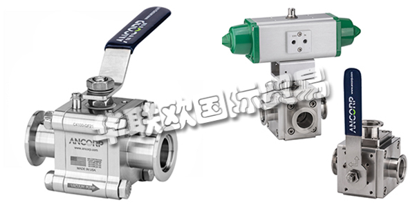 美國ANCORP公司主要供應(yīng)：美國ANCORP閥門,ANCORP過濾器，真空閥，疏水閥，真空球閥，二通球閥，三通球閥，高電導(dǎo)球閥，顆粒分離器，螺栓，螺母，固定環(huán)，夾具等產(chǎn)品。